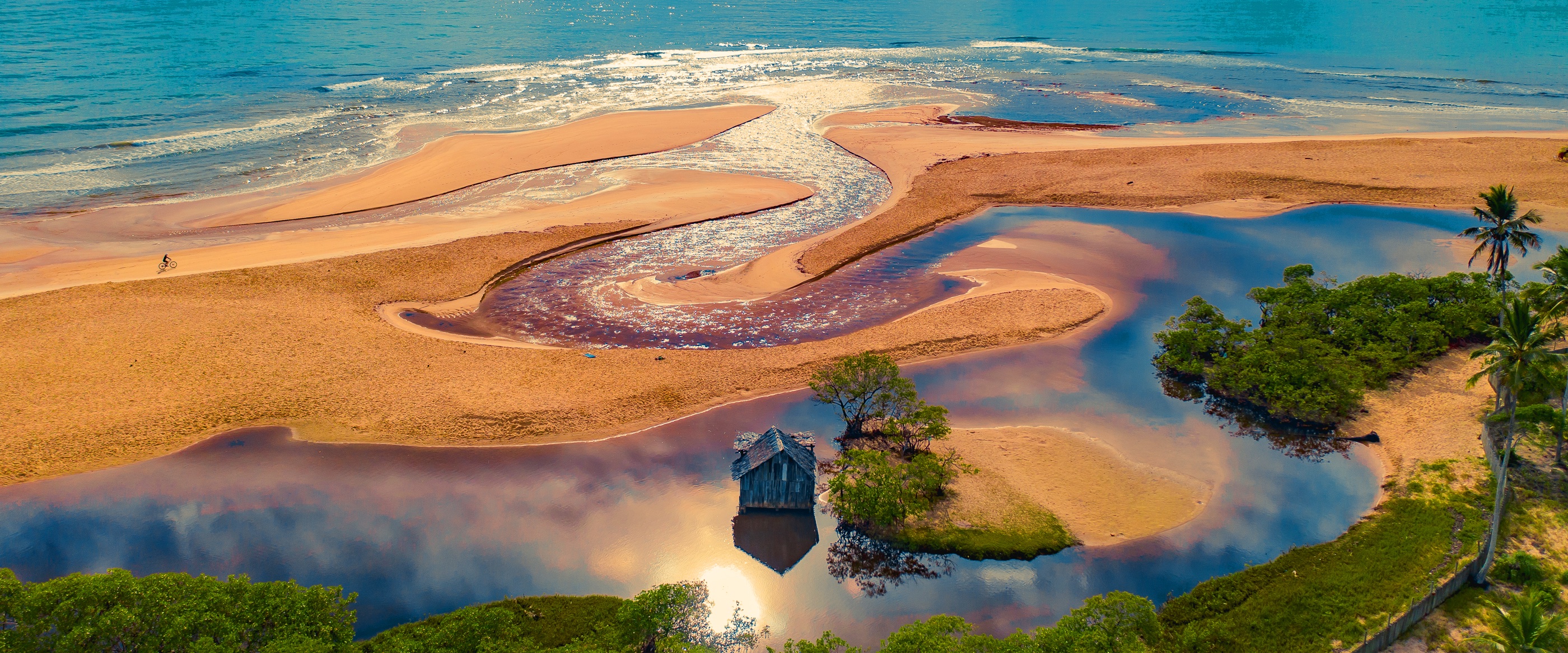 Portal da Bahia Contemporânea